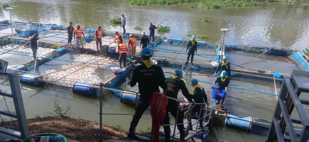 สั่งลุยรื้อผักตบชวาเปิดทางน้ำ! หลังทำปลาตายเกลื่อนกว่า 17 ตัน