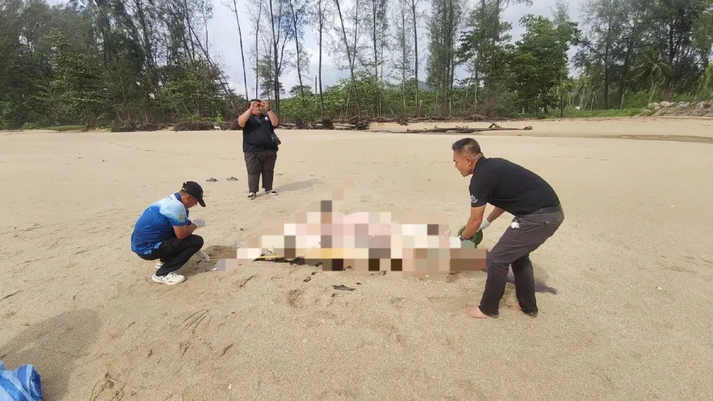สุดสลด! พบซากพะยูนยักษ์เกยตื้นหาดบางสัก มีแผลปริศนา