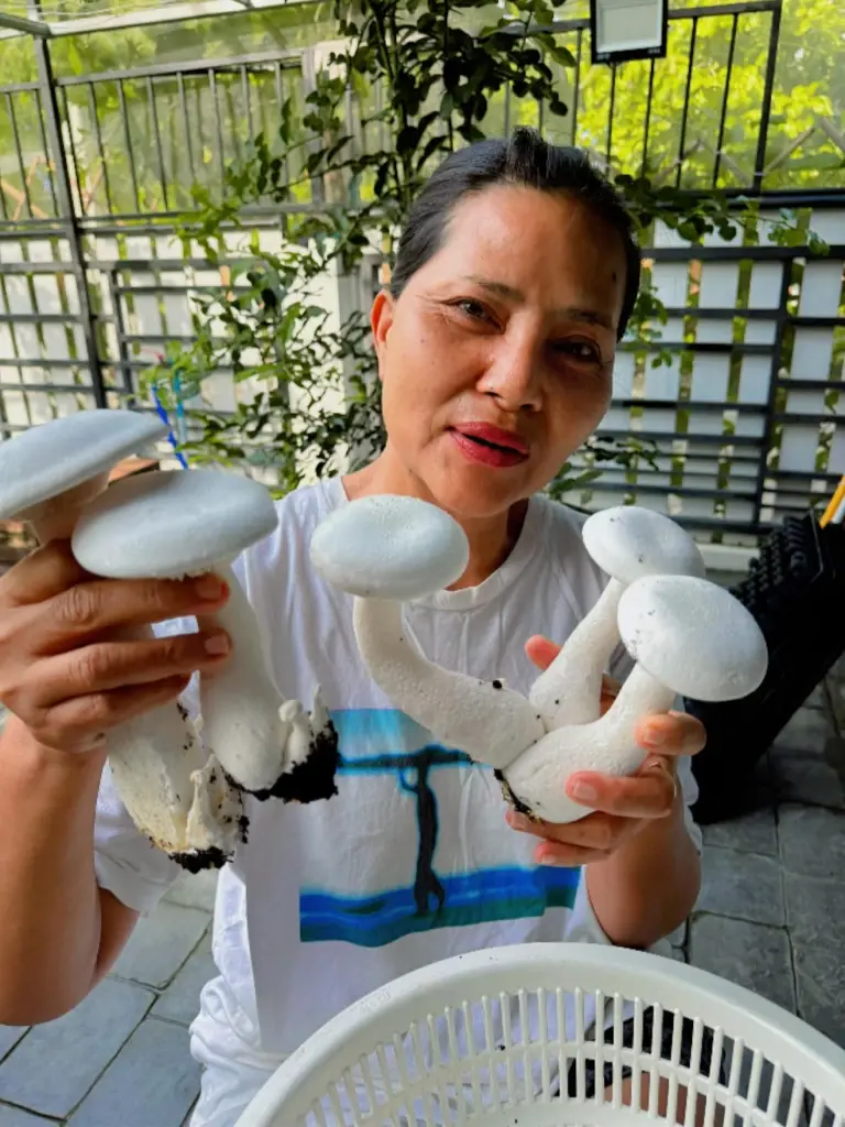 แฟน ๆ แห่อุดหนุน "สุนารี" เปิดแผงขายผักออร์แกนิกปลูกเองกับมือ