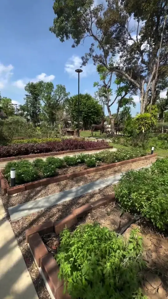 น่าอยู่มาก! ฮาย อาภาพร พาส่องบ้านสวน 2 ไร่ บรรยากาศสงบกลางธรรมชาติ