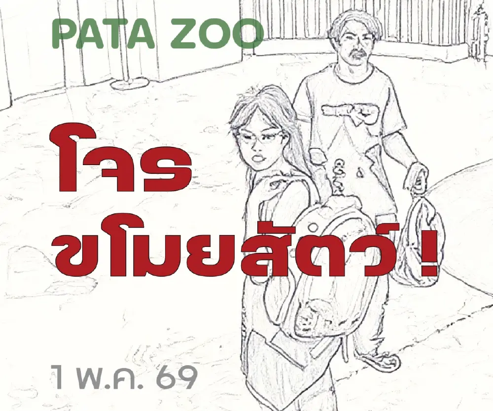 ท้าทายกฎหมาย ล่าโจรชายหญิงขโมยสัตว์ Exotic สวนสัตว์พาต้า
