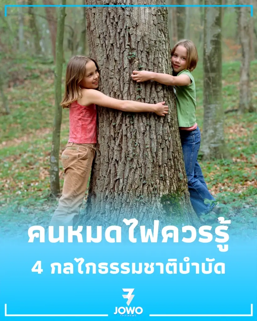 ทำไมการกอดต้นไม้-อาบป่า ถึงช่วยรักษาโรคหมดไฟได้จริง