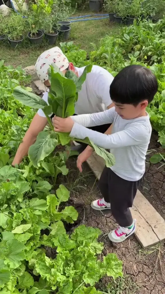 "พุฒ-จุ๋ย" เผยโมเมนต์หลังเลิกเรียนลูกชาย ช่วยพ่อแม่เก็บผลผลิต