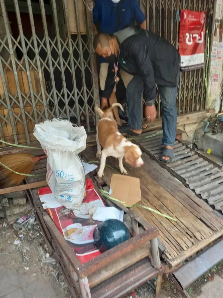 สลดเจ้าของเสียชีวิตคาบ้าน หมา 6 ตัวเฝ้าร่างไม่ห่าง