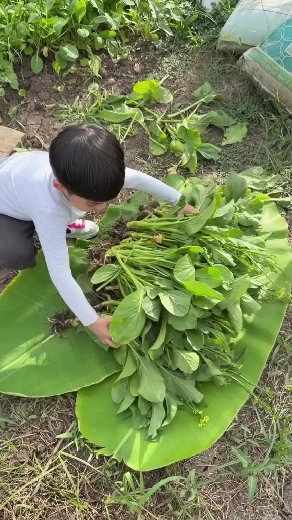 "พุฒ-จุ๋ย" เผยโมเมนต์หลังเลิกเรียนลูกชาย ช่วยพ่อแม่เก็บผลผลิต