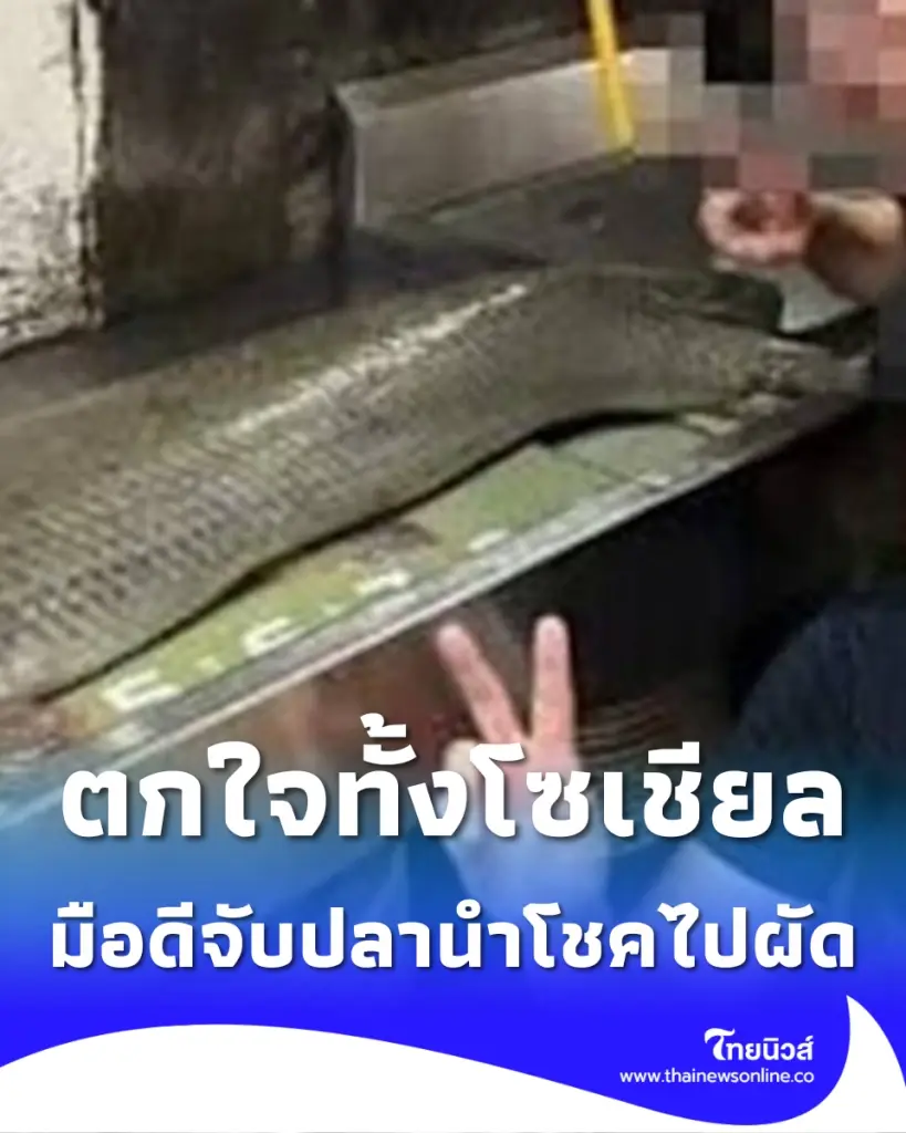 ตกใจทั้งโซเชียล ปลาจระเข้โบราณ อยู่คู่สวนดัง 20 ปี ถูกจับผัดกิน