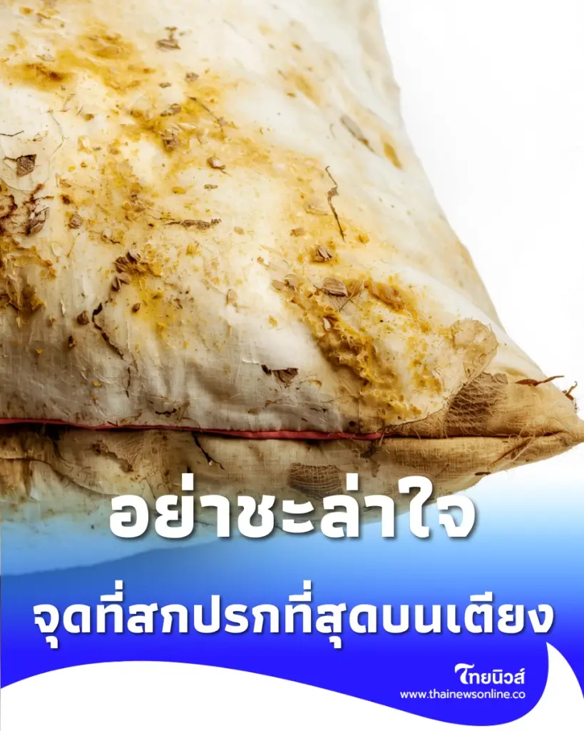 ซักผ้าปูไม่พอ เผยจุดสะสมเชื้อโรค พีคที่สุด อยู่บนเตียง