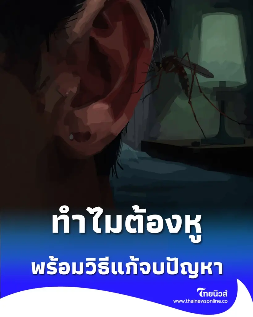รำคาญไหม ทำไมยุงชอบบินว่อนข้างหู พร้อมวิธีแก้จบปัญหา