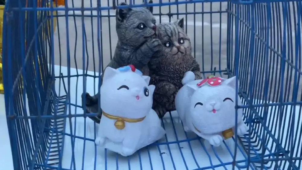 ขนลุกทั้งหมู่บ้าน! แห่นางแมวชัยภูมิ ฝนเททันตาเห็นหลังทำพิธี