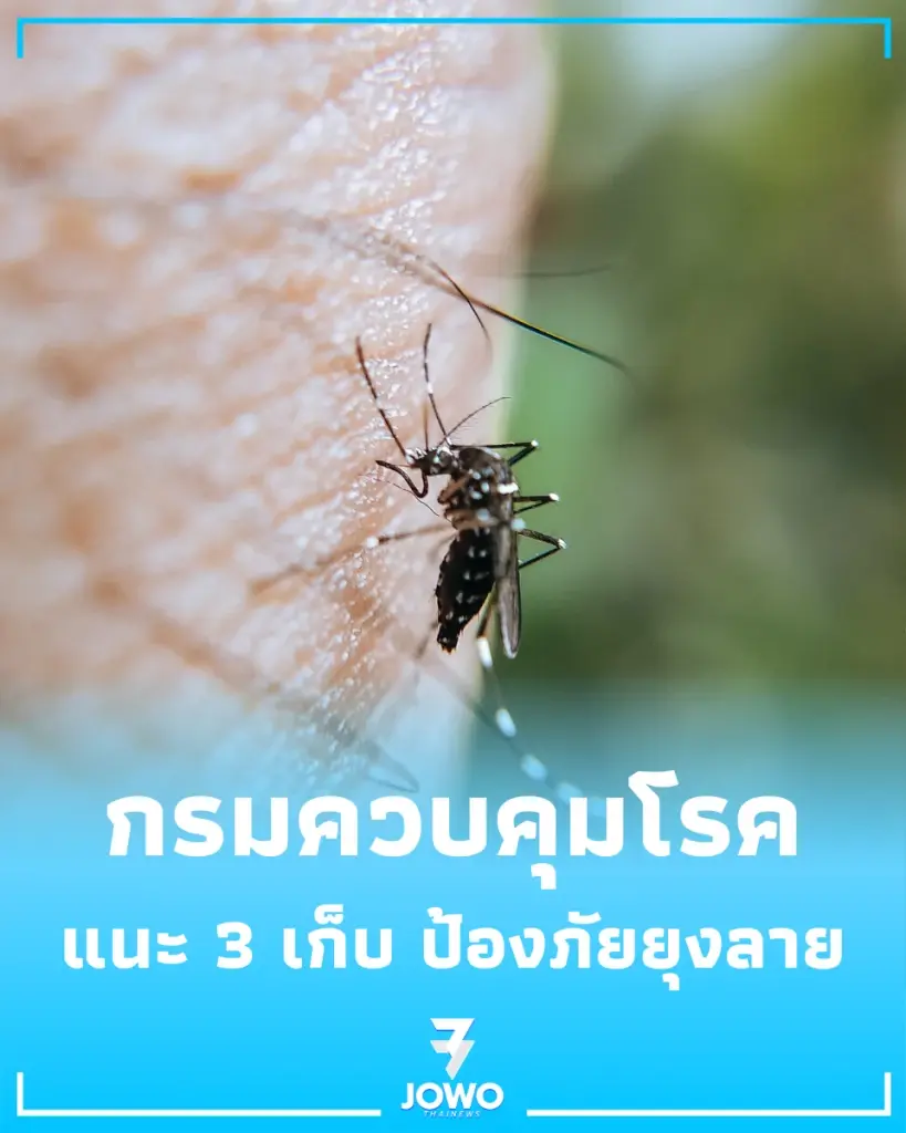 เปิดเทอมปลอดภัย กรมควบคุมโรค แนะมาตรการ 3 เก็บ ป้องภัยยุงลาย