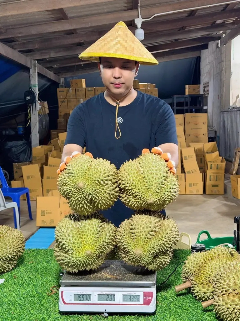 น้ำตาจะไหล! แพร์รี่ ไพรวัลย์ เผยเหตุผลไม่ปักตะกร้า TikTok  