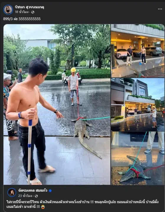 ส่องเลขบ้าน  "เจนนี่ - ยิว" ตัวเงินตัวทองยักษ์บุก เชื่อมาให้โชค