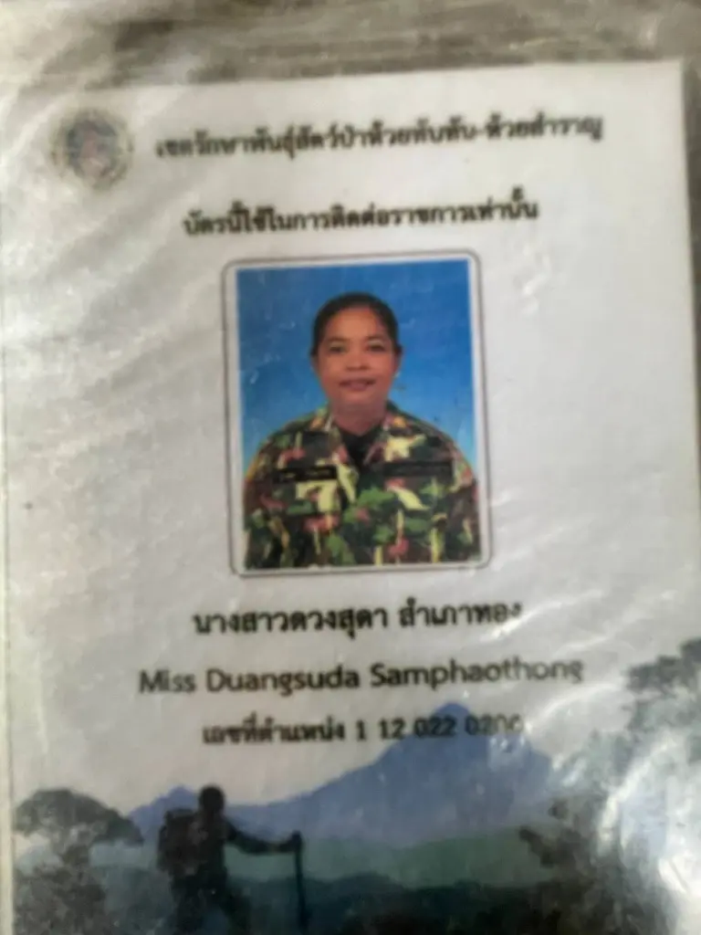 นาทีระทึก ช้างป่าสีดอดื้อทำร้ายเจ้าหน้าที่หญิงขณะผลักดัน