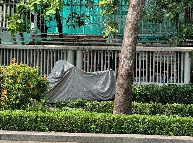 ไวรัลตาเก็บขยะแบ่งซาลาเปาให้หมาบ้านหรู ที่แท้ไม่ใช่อย่างที่คิด