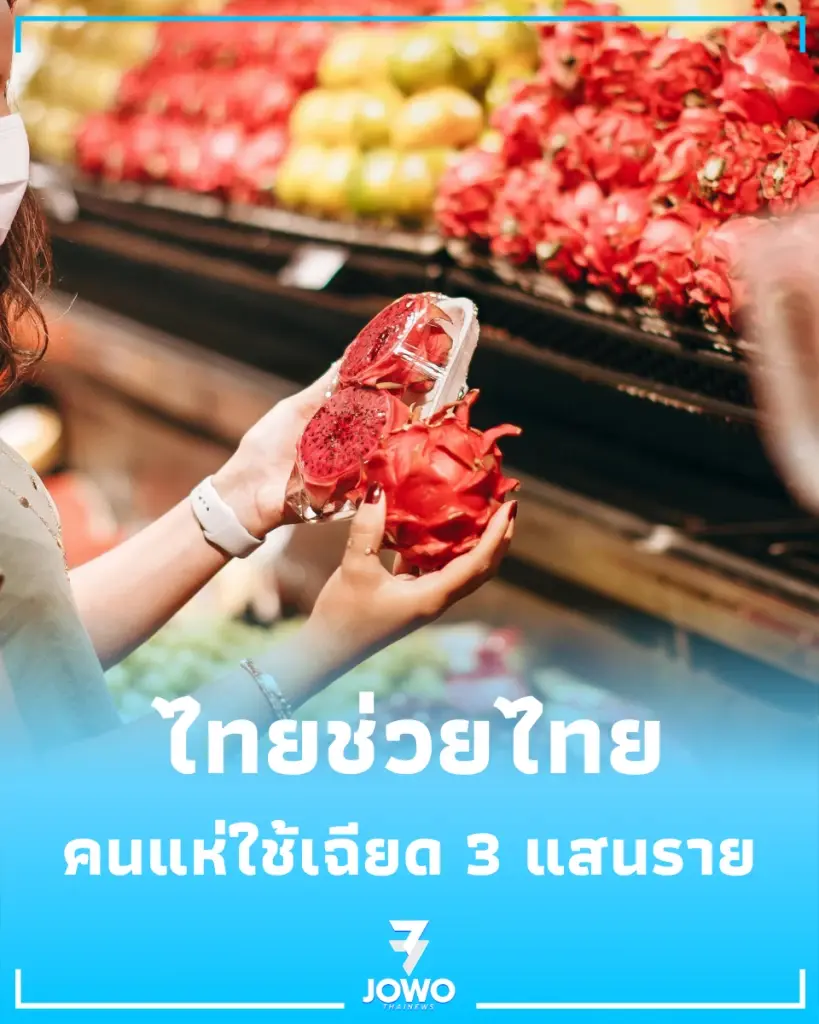 ไทยช่วยไทยกระหึ่ม คนแห่ใช้เฉียด 3 แสนราย เงินพุ่ง 33 ล้าน