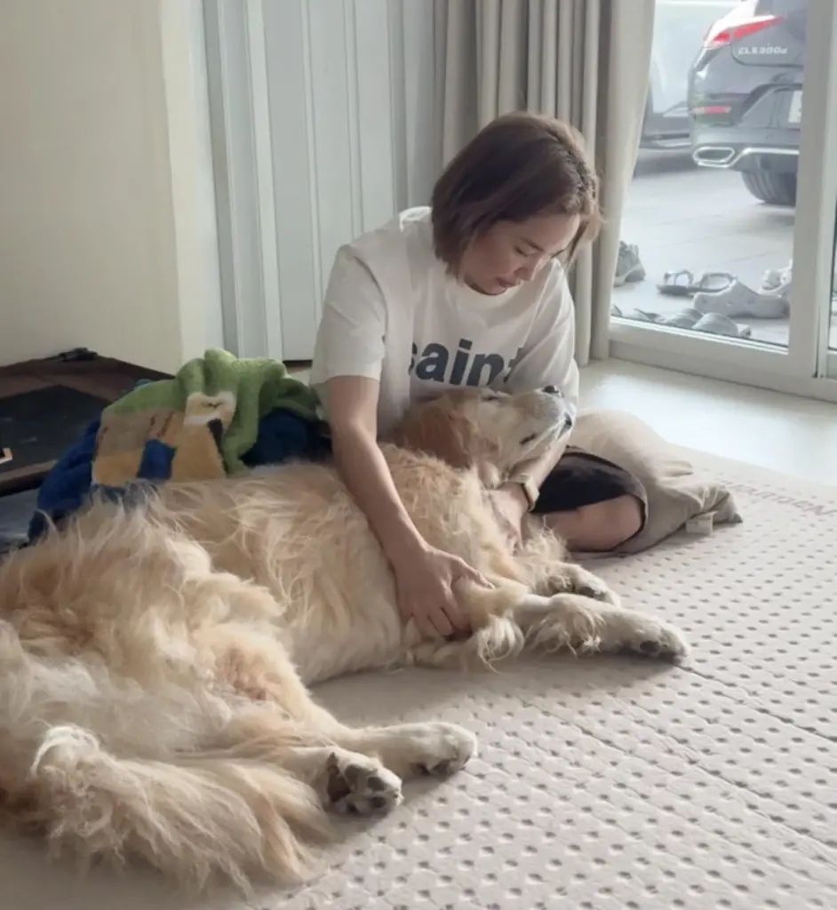 คุณแป้น แจ้งข่าวเศร้า เฮียเจได กลับดาวหมาอย่างสงบแล้ว