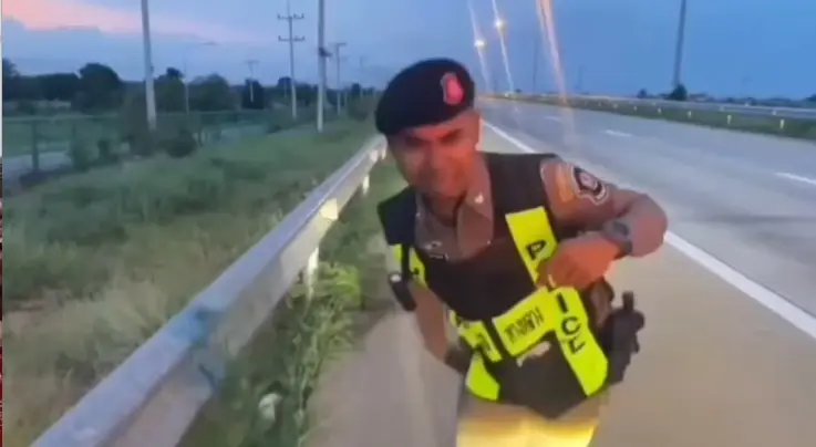 กรี๊ดเสียทรง! ตร.ทางหลวง M6 ใจเด็ดช่วยงูขดกลางถนนอย่างปลอดภัย