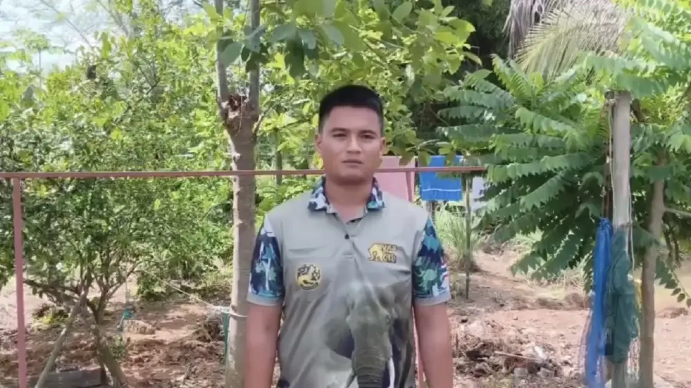 เผยสาเหตุที่ดุร้าย ช้างป่าบุกชุมชนกรุงเก่าท่าตะเกียบ
