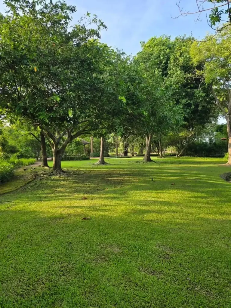ชีวิตในฝัน! ป้าจิ๊ อัจฉราพรรณ เปิดภาพบ้านสวนสุดสงบ เผยมุมพักใจ