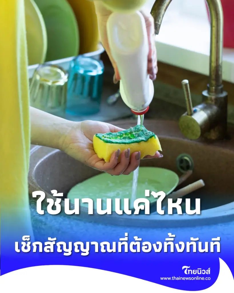 ฟองน้ำล้างจาน ควรเปลี่ยนบ่อยแค่ไหน เผยวิจัยภัยเงียบ แหล่งสะสมเชื้อโรคใกล้ตัว