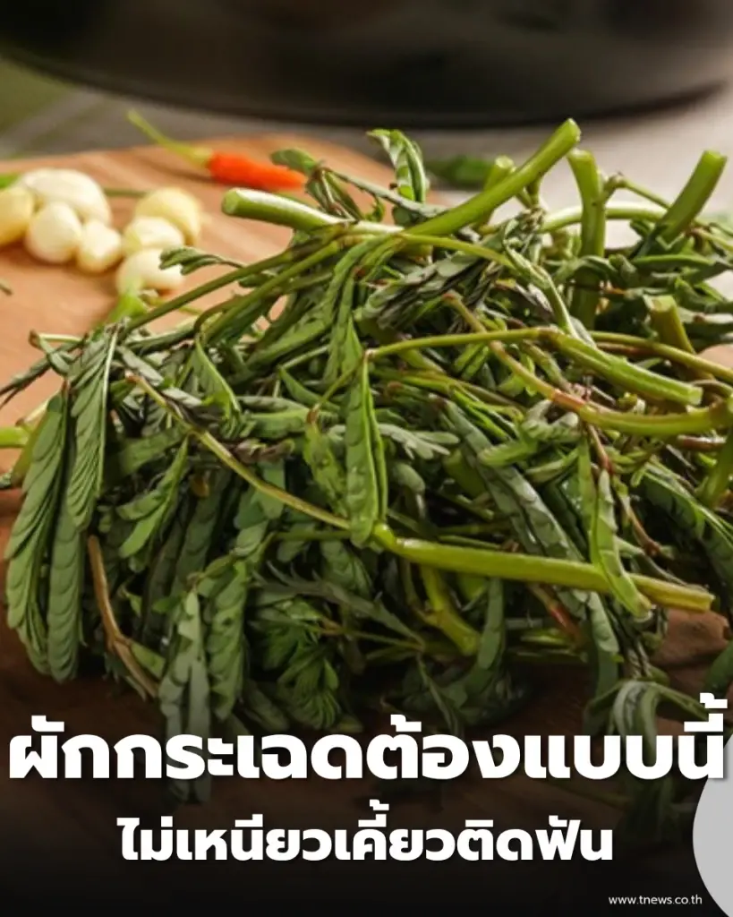 ผักกระเฉดต้องแบบนี้ เคล็ดลับผัดให้กรอบกริบ ไม่เหนียวเคี้ยวติดฟัน