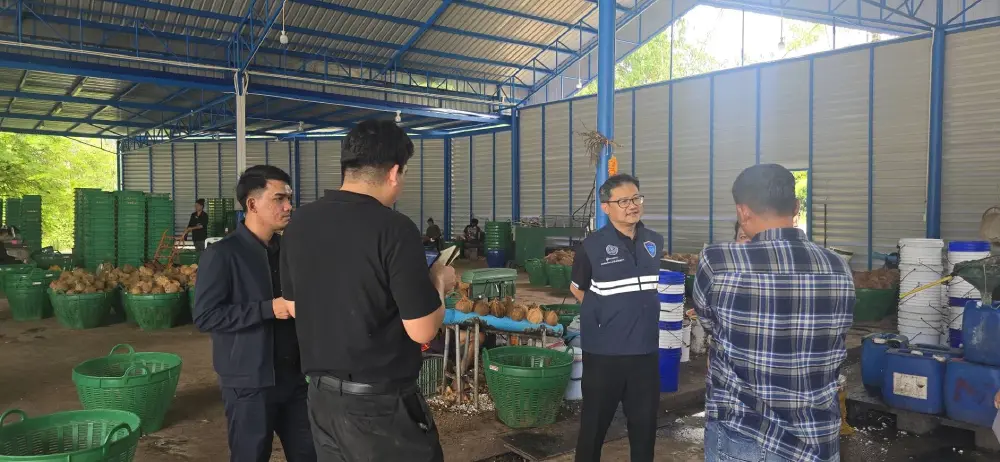 กู้ราคามะพร้าวตกต่ำ พาณิชย์ดันโรงงานรับซื้อเพิ่ม 2.5 ล้านลูก