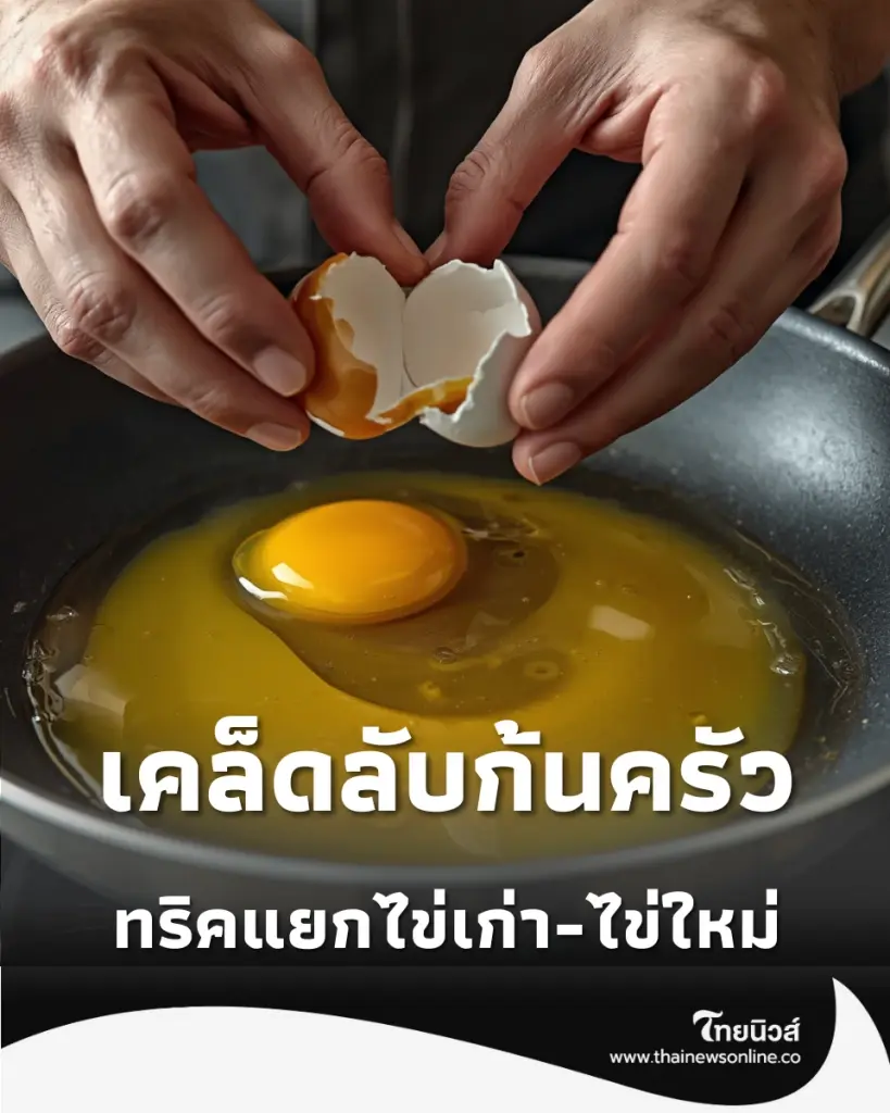 เลือกไข่ผิดชีวิตเปลี่ยน เผยทริคแยกไข่เก่า-ไข่ใหม่ ทำเมนูไหนก็อร่อย