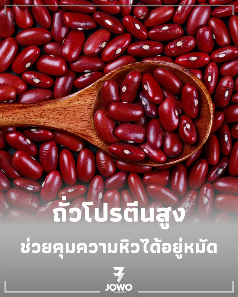 เปิดลิสต์ ถั่วโปรตีนสูง กินแล้วอิ่มนาน ที่สายเฮลตี้ต้องมีติดบ้าน