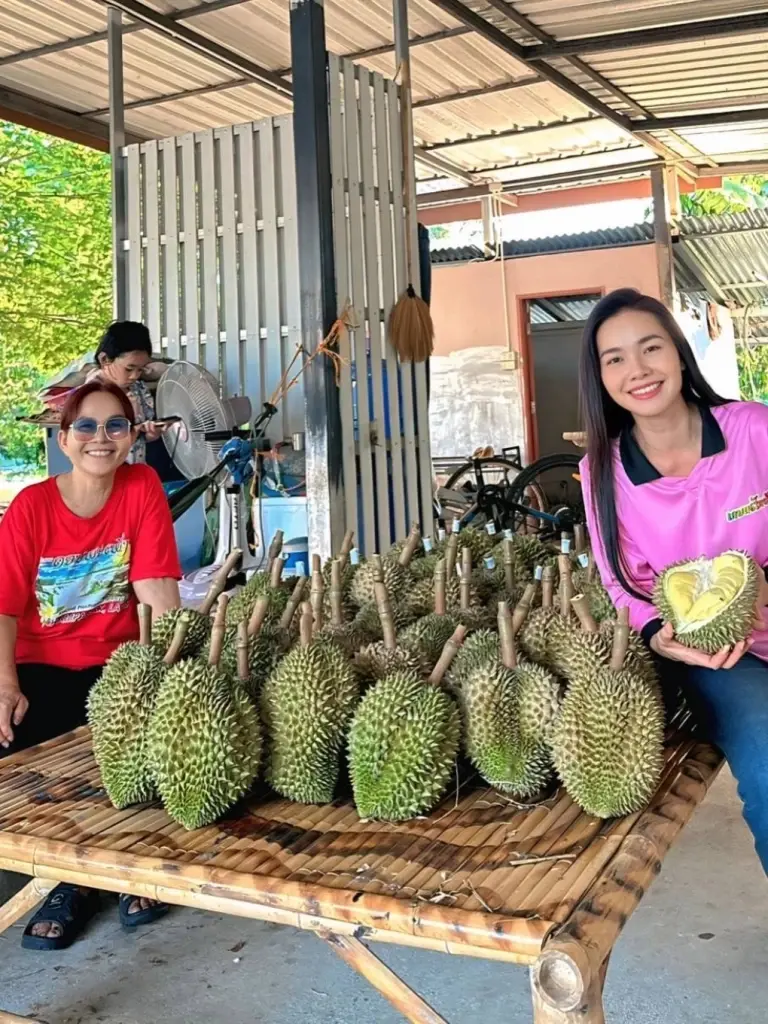 ต่าย อรทัย  ชวนอุดหนุนทุเรียนบ้านเกิด ขายปีแรกลูกโตมาก