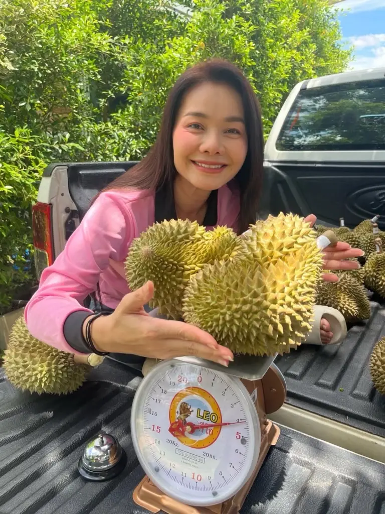 ต่าย อรทัย  ชวนอุดหนุนทุเรียนบ้านเกิด ขายปีแรกลูกโตมาก