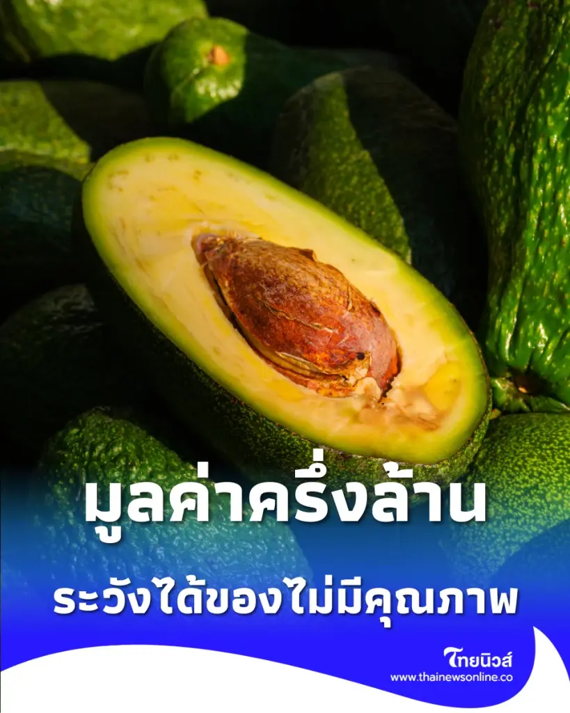 กรมศุลฯ สกัดจับ อะโวคาโดต่างประเทศ ลักลอบนำเข้าล็อตยักษ์กว่า 5,000 กิโล