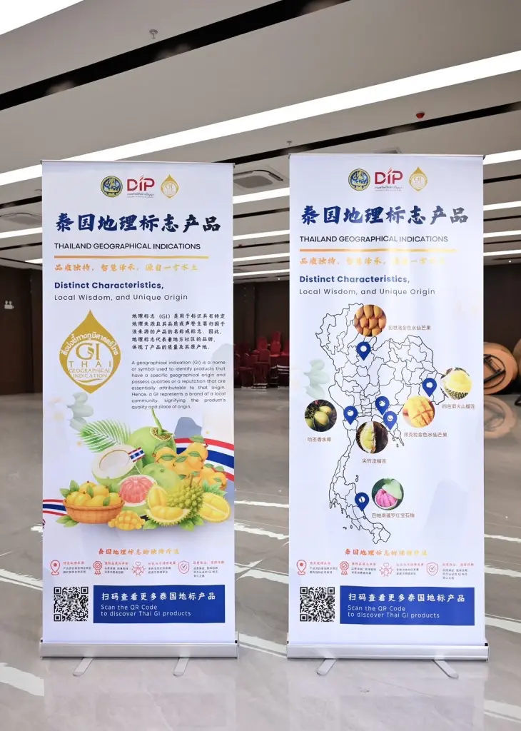กรมทรัพย์สินทางปัญญา นำสินค้า GI ไทย บุกเซี่ยงไฮ้ จับคู่ธุรกิจกับผู้นำเข้าจีน ขยายตลาดผลไม้ GI