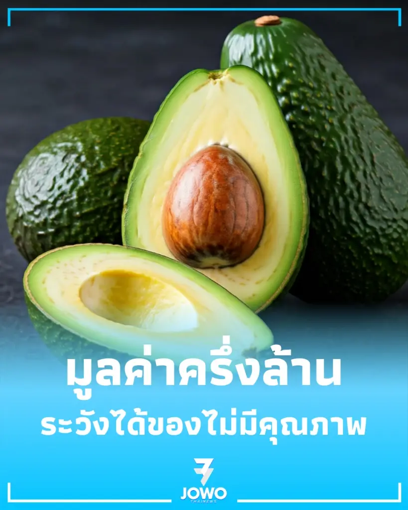 กรมศุลกากร ยึด อะโวคาโดต่างประเทศ กว่า 5 ตัน