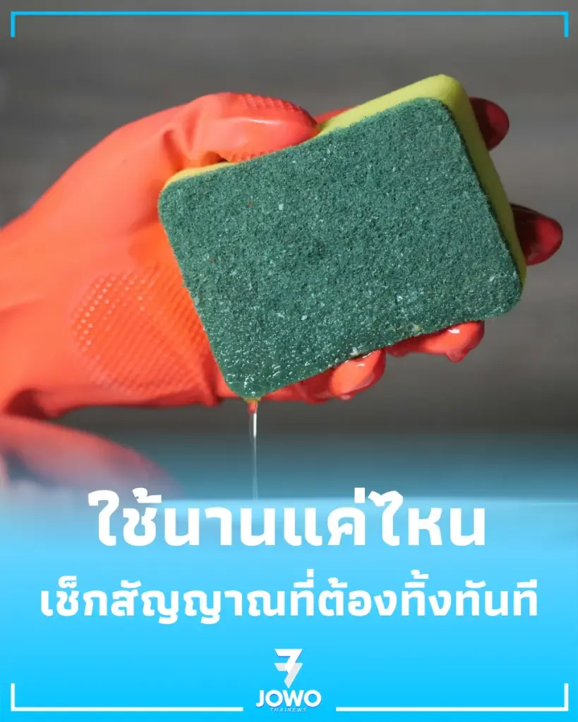 ฟองน้ำล้างจาน ควรเปลี่ยนบ่อยแค่ไหน เผยวิจัยภัยเงียบ แหล่งสะสมเชื้อโรคใกล้ตัว