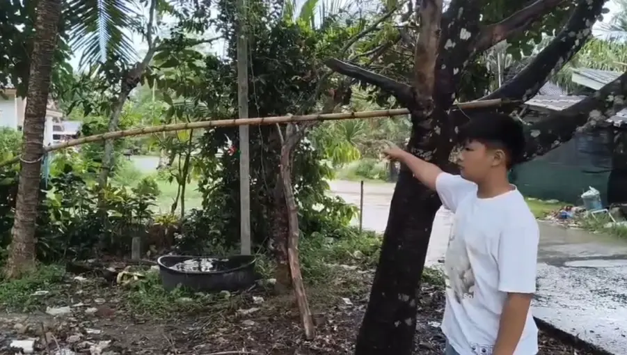 เร่งค้นหาลิงกัดเด็ก 7 ขวบดับ หลังถูกปล่อยทิ้งริมเขา เพื่อนบ้านแฉเคยโดนกัด