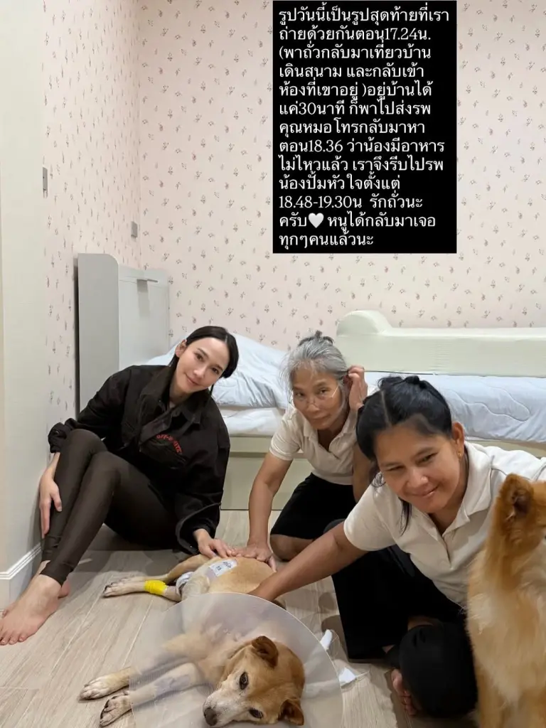 อั้ม พัชราภา เศร้า น้องถั่ว กลับดาวหมาแล้ว เผยรูปสุดท้ายก่อนจากไป