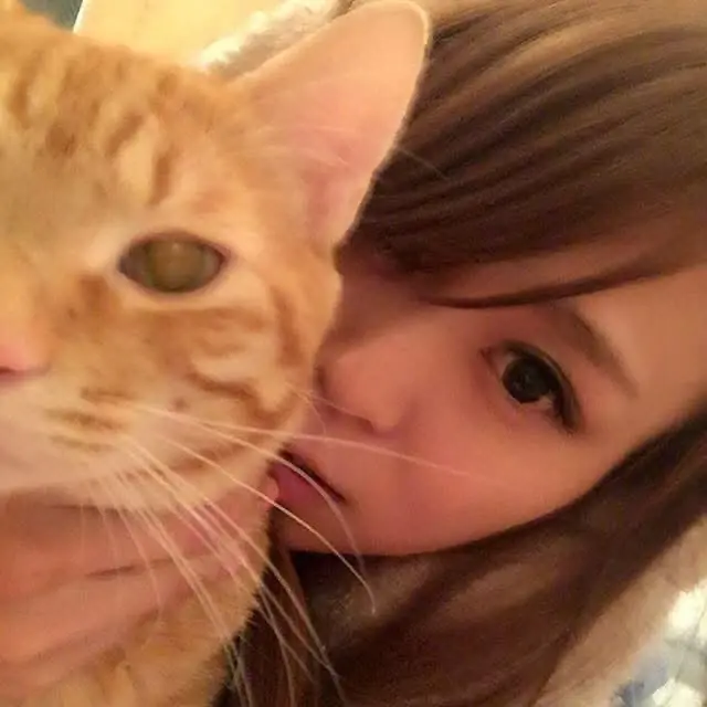 อย่าคิดว่าแค่นิดเดียว  สาวแชร์ภาพขาบวมเป่ง หลังถูกแมวตัวเองกัด