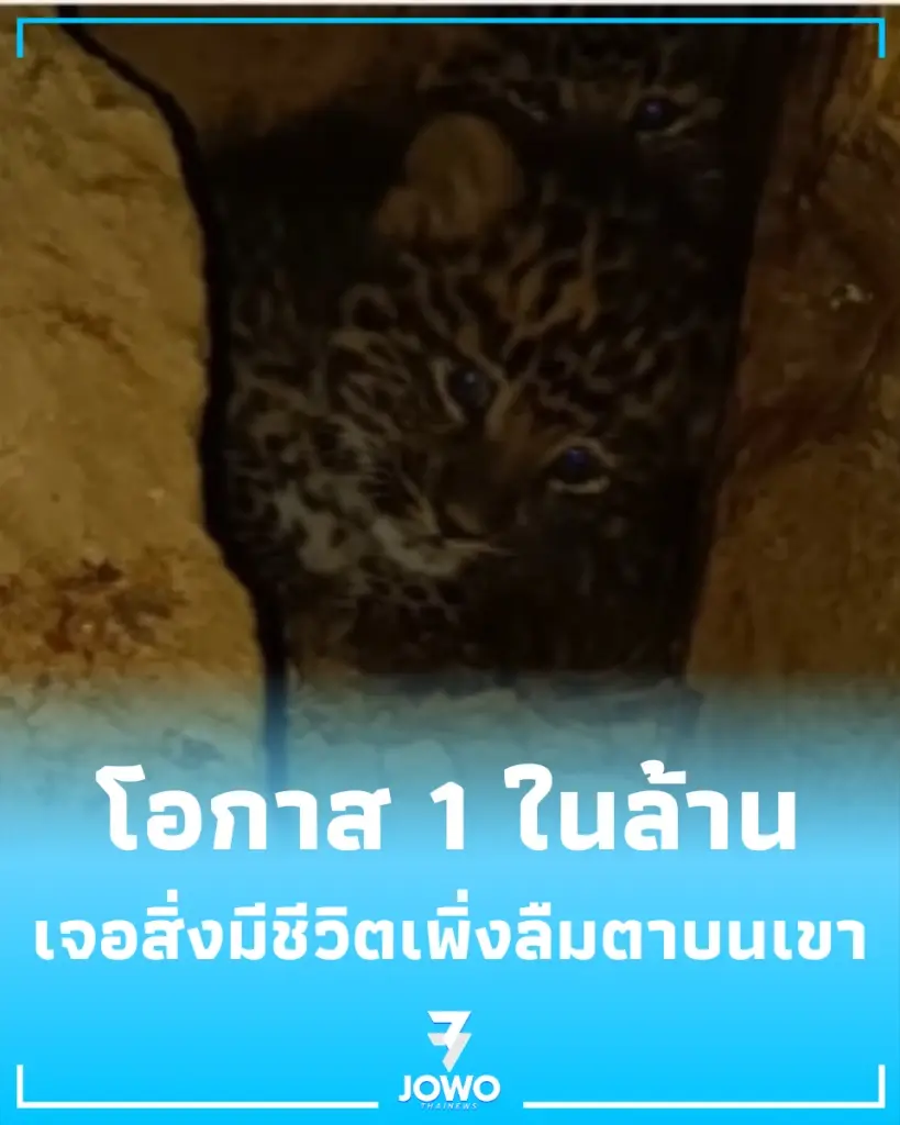 นึกว่าตาฝาด ชาวบ้านขึ้นเขาไปเก็บถั่งเช่า แต่สิ่งที่เจอในถ้ำทำเอาใจหายแวบ