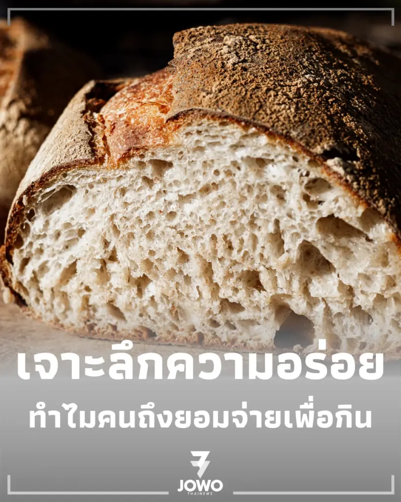 ทำไมคนแห่ซื้อ Sourdough ขนมปังสุดฮิตที่สายสุขภาพต้องมีติดบ้าน