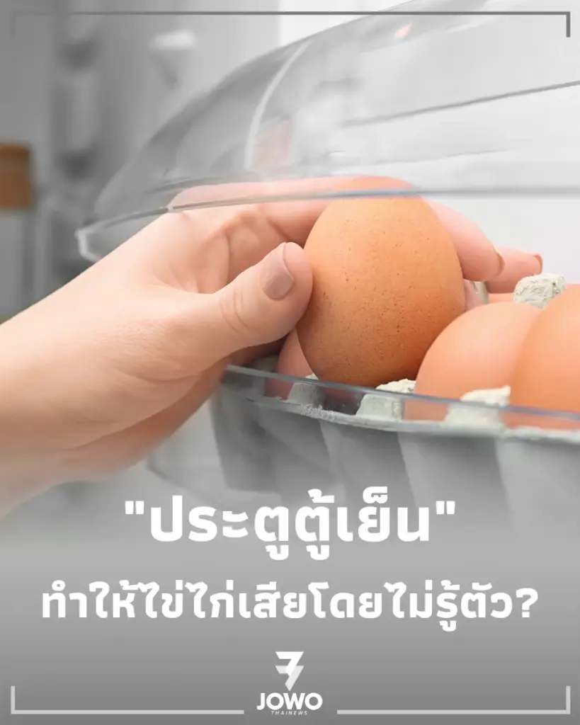  ทำไม ประตูตู้เย็น คือที่ที่แย่ที่สุดสำหรับ ไข่ไก่