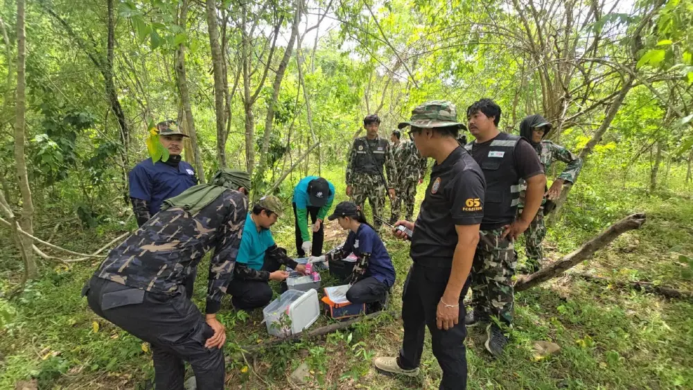 นาทีชีวิต! ช้างป่ากุยบุรีพุ่งชนผู้พิทักษ์ป่าเจ็บขณะช่วยรักษา