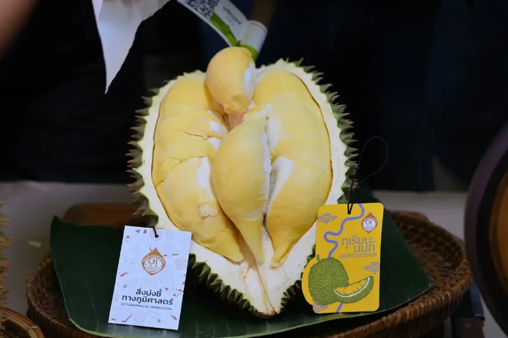 หมดสิทธิ์สวมรอย ระบบเช็ก ทุเรียนนนท์แท้ สแกนรู้ถึงสวนผู้ปลูก