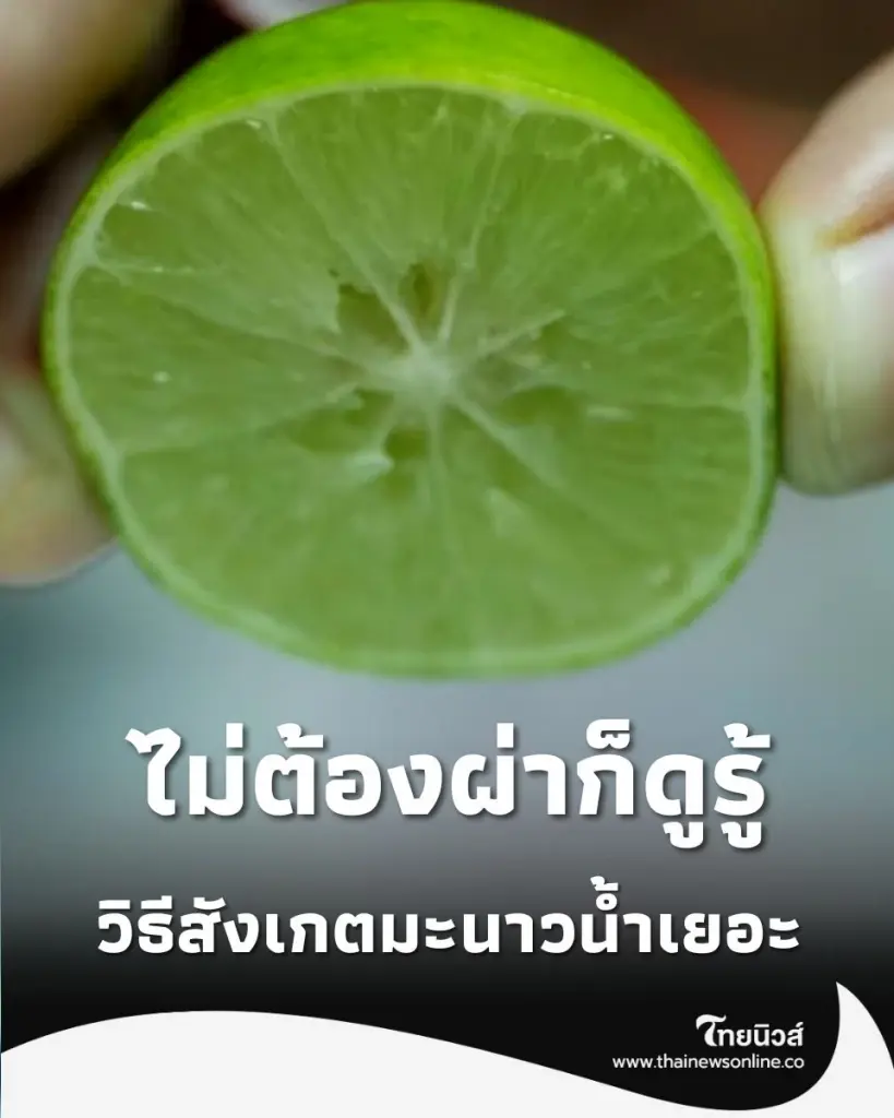 มะนาวน้ำเยอะดูยังไง รวมวิธีเลือกมะนาวก่อนซื้อ ไม่ต้องผ่าก็รู้