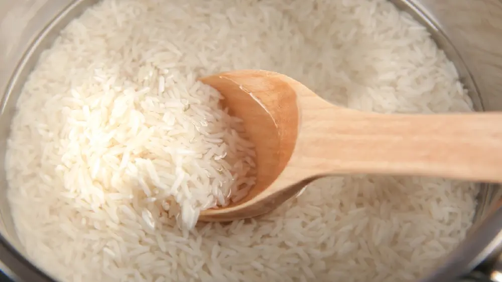 บูดคาหม้อ! ไขปริศนาหุงข้าวตอนเช้าทำไมบูดเร็วพร้อมวิธีแก้