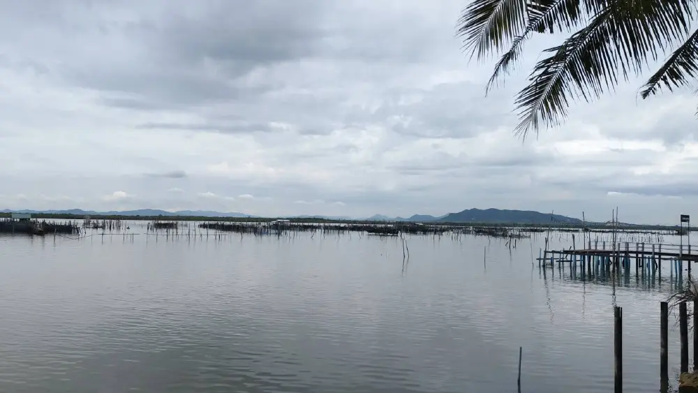 “ปลากะพงสามน้ำทะเลสาบสงขลา” เจาะลึกกระบวนการผลิตตามมาตรฐาน GI ตอกย้ำคุณภาพวัตถุดิบพรีเมียม