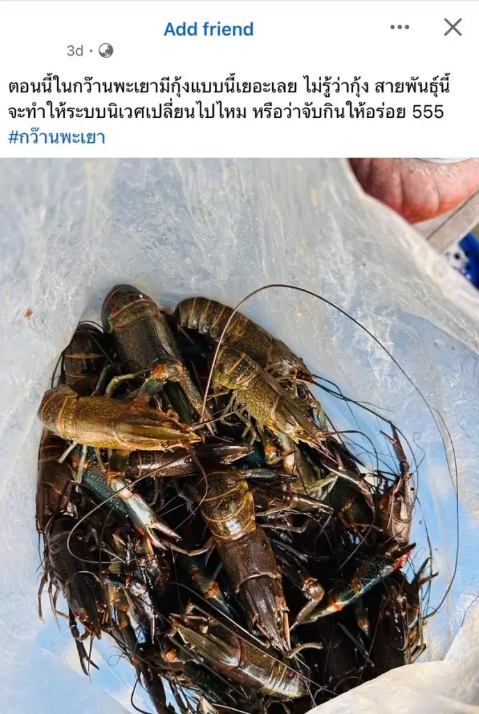 ภาพ Facebook : Jessada Denduangboripant