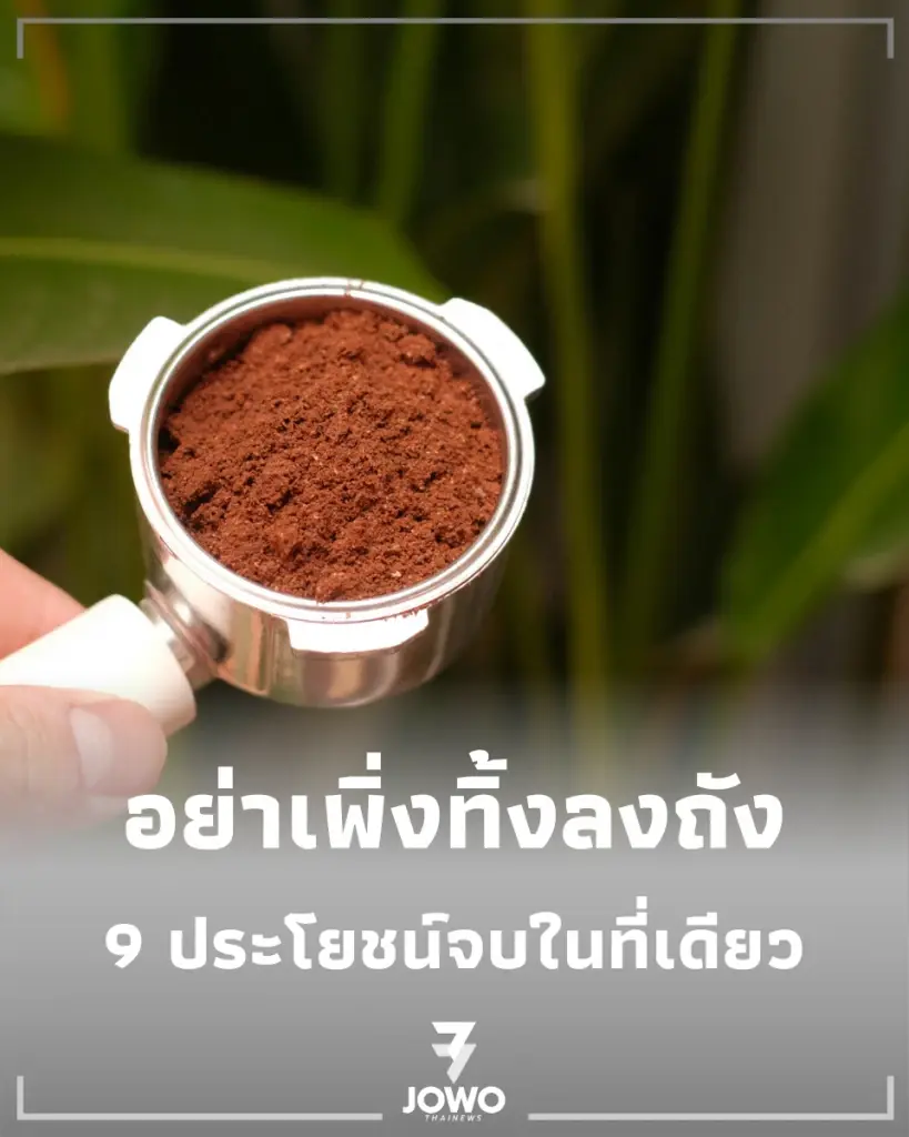 เปิด 9 เคล็ดลับเปลี่ยนของทิ้งให้เป็นของดี ทั้งดับกลิ่น-ไล่แมลง-ทำปุ๋ย จบในที่เดียว