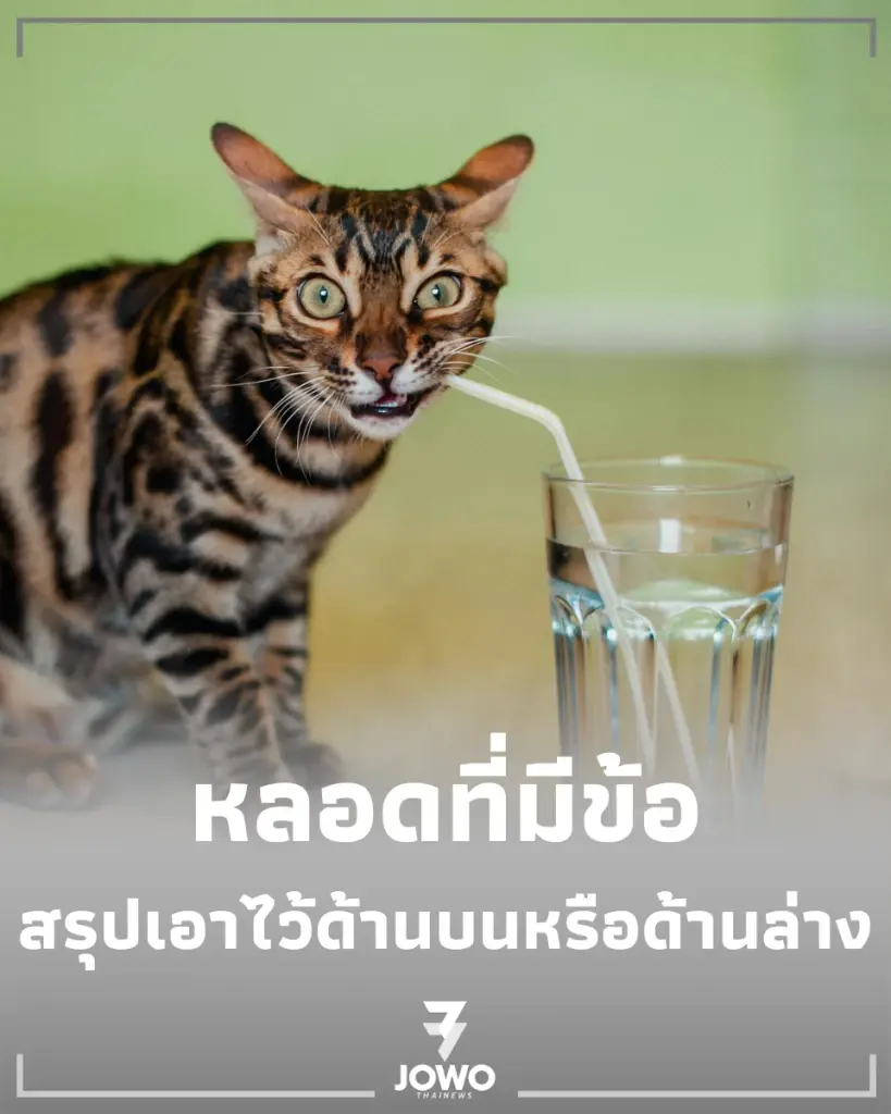 ไขข้อข้องใจ หลอดที่มีข้อ แท้จริงแล้วต้องเอาไว้ด้านบนหรือด้านล่าง