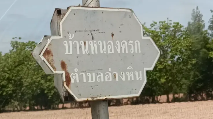 ทนไม่ไหวแล้ว! ชาวบ้านกางมุ้งกินข้าว-แห่ปิดร้านหนีฝูงแมลงวัน