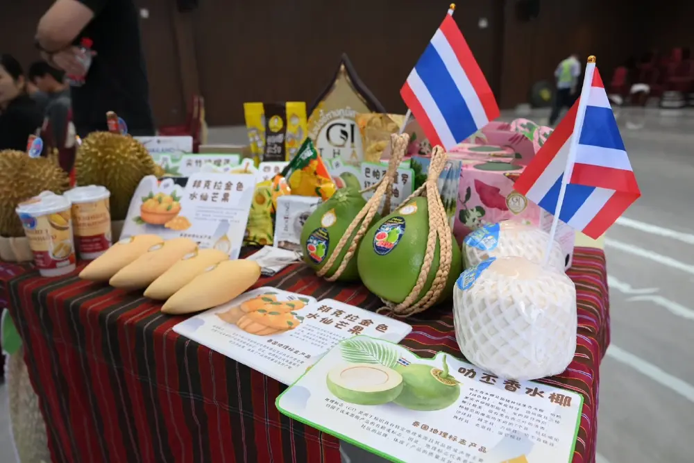 กรมทรัพย์สินทางปัญญา นำสินค้า GI ไทย บุกเซี่ยงไฮ้ จับคู่ธุรกิจกับผู้นำเข้าจีน ขยายตลาดผลไม้ GI